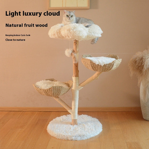 Natural Fruit Tree Cat Climbing Frame