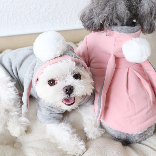 Long Ear Rabbit Sweater