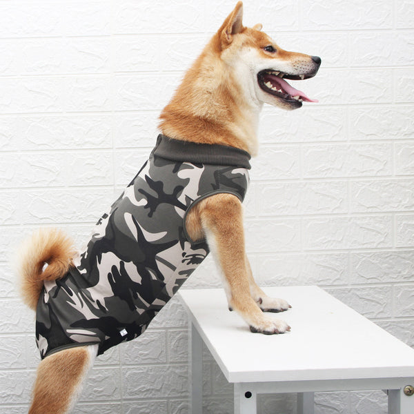 Multi-Color Pet Clothes – Stylish Outfits for Dogs & Cats