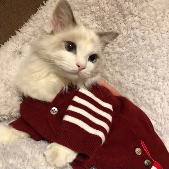 Pet Clothes for Cats – Stylish & Comfortable Outfit