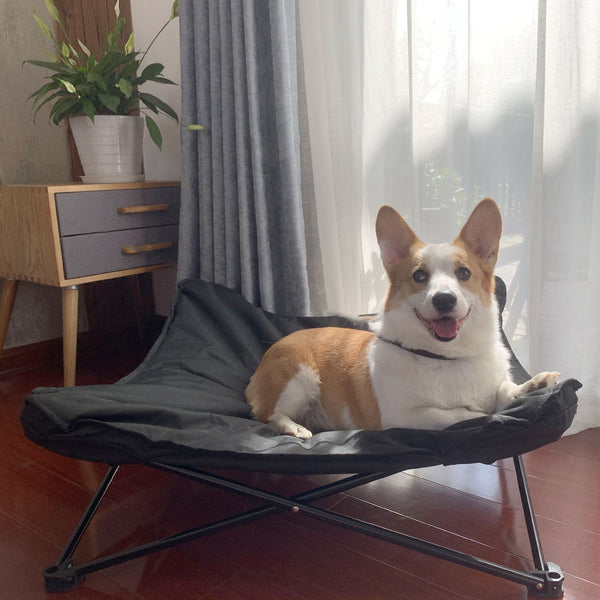 Pet March Bed