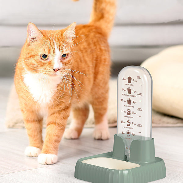 Pet Drink Fountain